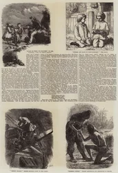 Literaire Illustraties